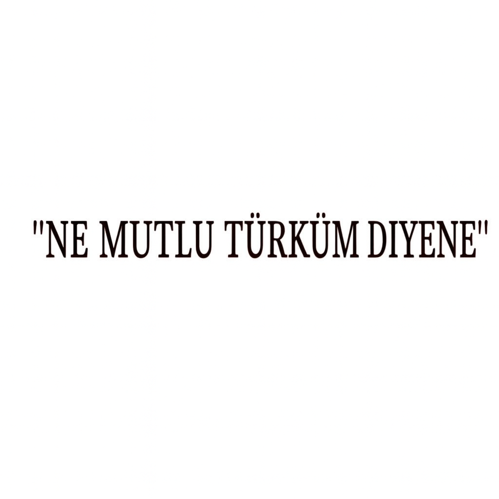 NE MUTLU TÜRKÜM DIYENE