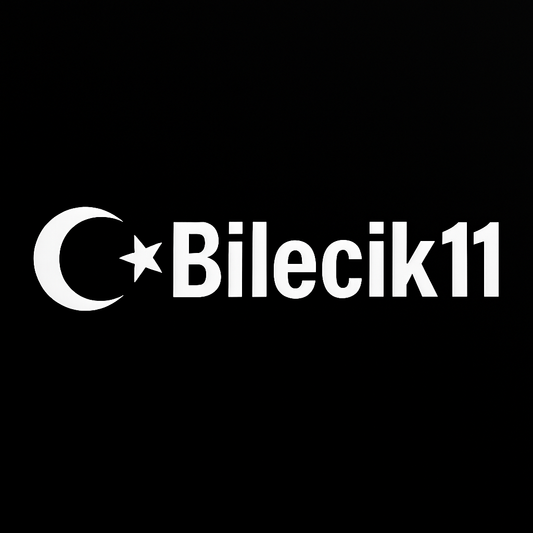 Bilecik11