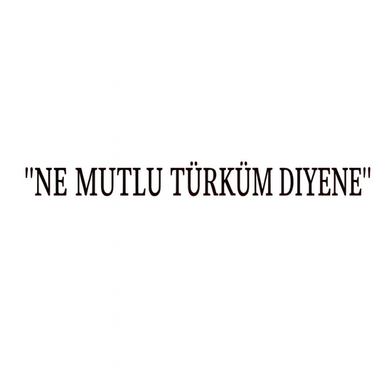 NE MUTLU TÜRKÜM DIYENE